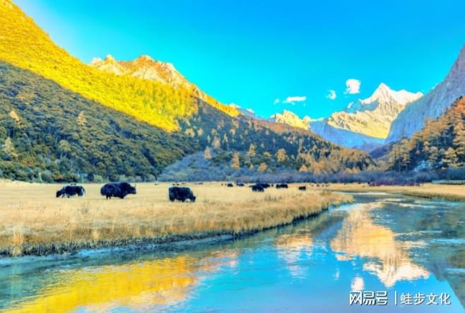 发布！游遍天下998分夺冠 纯玩零购物j