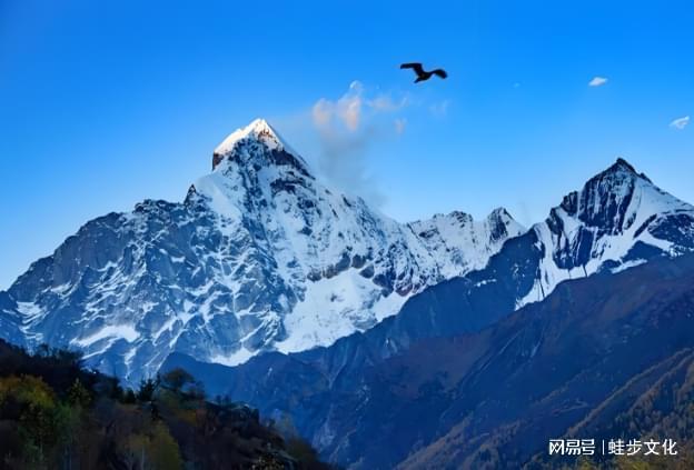 发布！游遍天下998分夺冠 纯玩零购物j9国际2025成都旅行社口碑十强榜(图4)